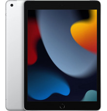 Apple iPad 8th Gen 10.2" (2020) 128GB WiFi + Cellular - Grado AB