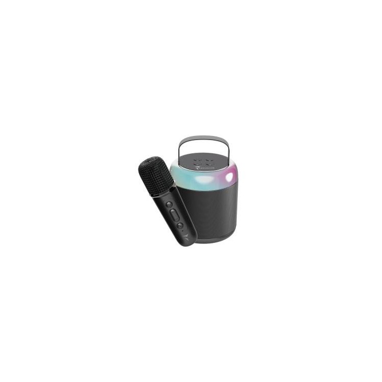 Techmade Speaker Karaoke Black