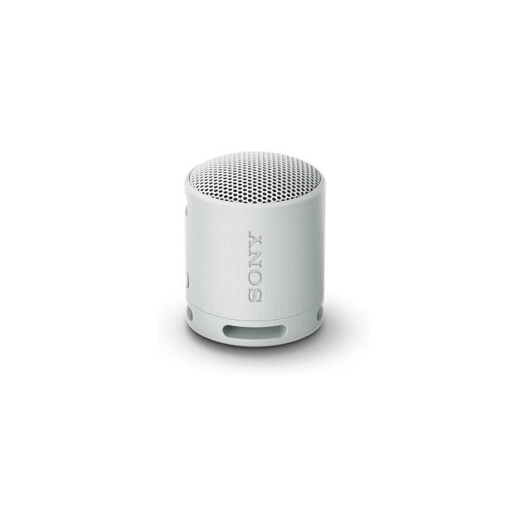 Sony SRS-XB100 Speaker Wirless Bluetooth Grigio